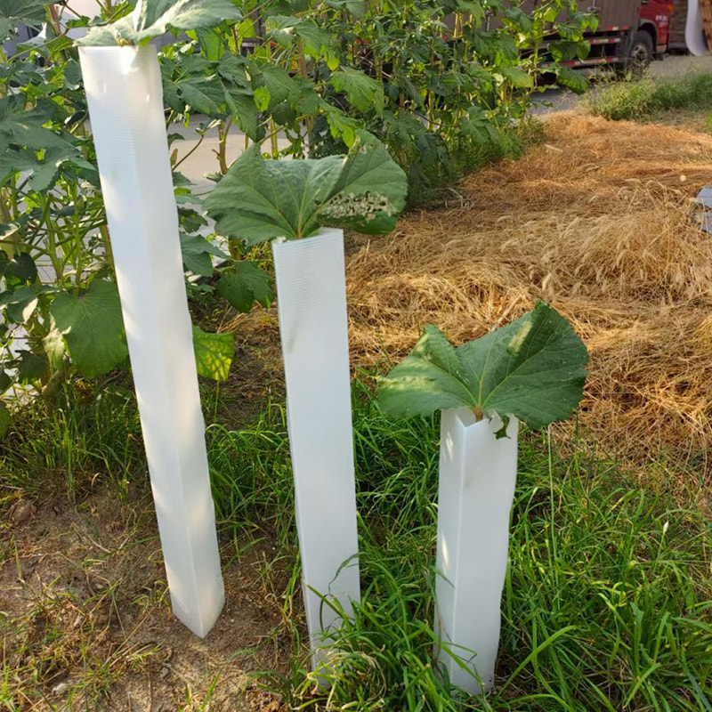 Tube de protection anti-morsure en plastique ondulé pour arbre à jeunes arbres