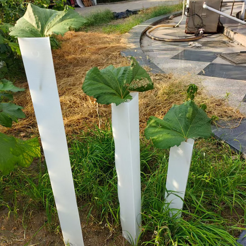Tube de protection anti-morsure en plastique ondulé pour arbre à jeunes arbres