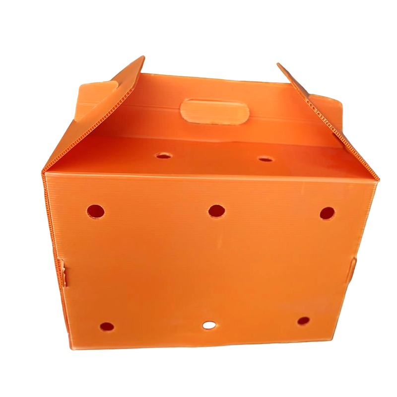 Porte-animaux pliable en plastique ondulé à trous d'aération multiples