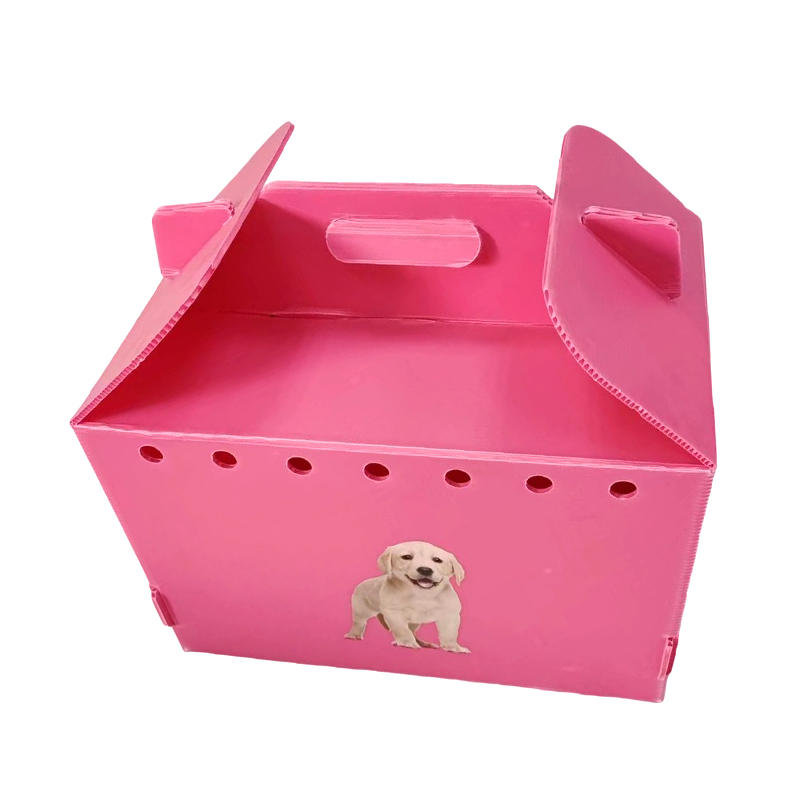 Porte-animaux pliable en plastique ondulé à trous d'aération multiples