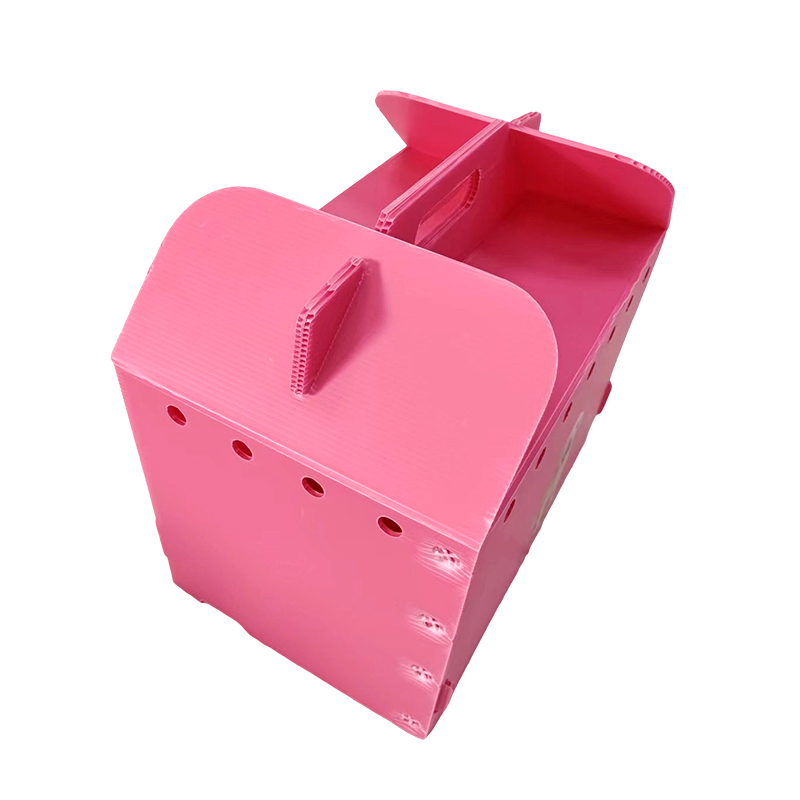 Porte-animaux pliable en plastique ondulé à trous d'aération multiples