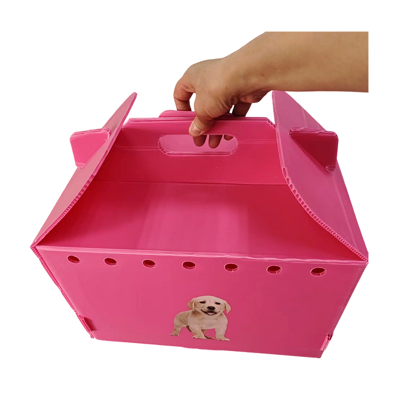 Porte-animaux pliable en plastique ondulé à trous d'aération multiples