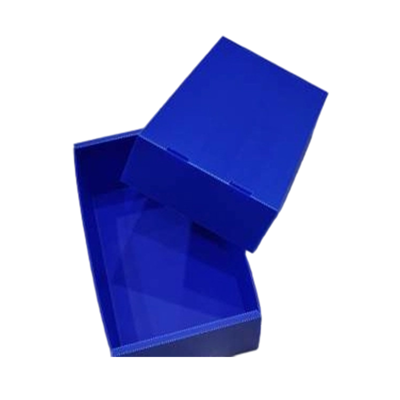 Boîte de couverture supérieure et inférieure en plastique ondulé pliable résistante à la poussière