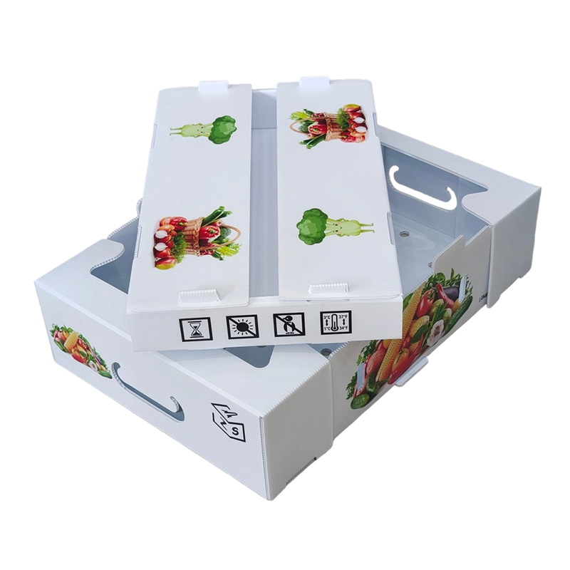 Boîte à fruits en plastique ondulé PP imprimée sur mesure et résistante à l'humidité