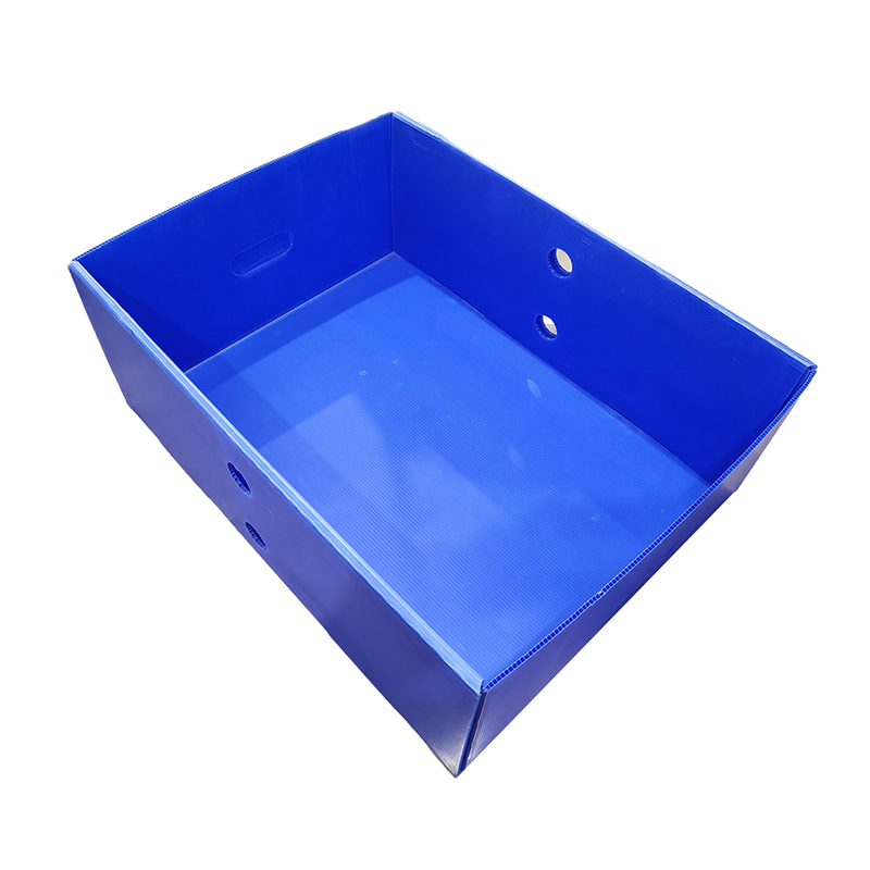 Boîte de couverture supérieure et inférieure en plastique ondulé réutilisable