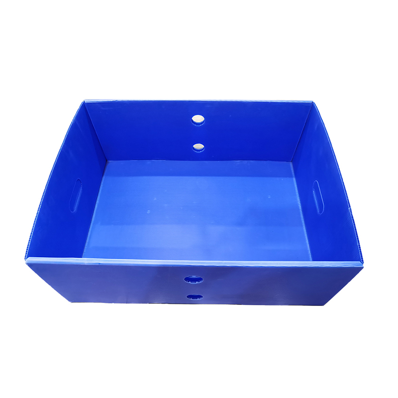 Boîte de couverture supérieure et inférieure en plastique ondulé réutilisable