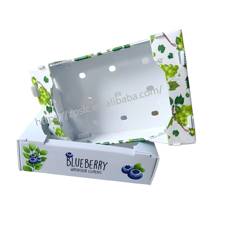 Boîte de retournement pliable en plastique ondulé PP avec trous de ventilation