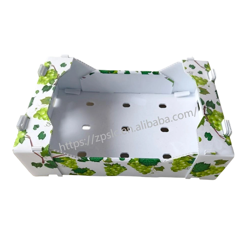 Boîte de retournement pliable en plastique ondulé PP avec trous de ventilation