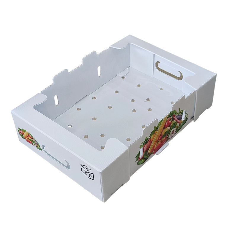 Boîte de retournement pliable en plastique ondulé PP avec trous de ventilation