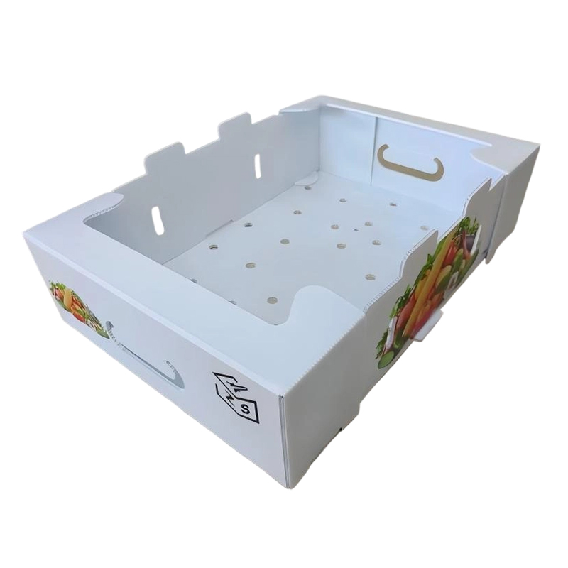 Boîte de retournement pliable en plastique ondulé PP avec trous de ventilation