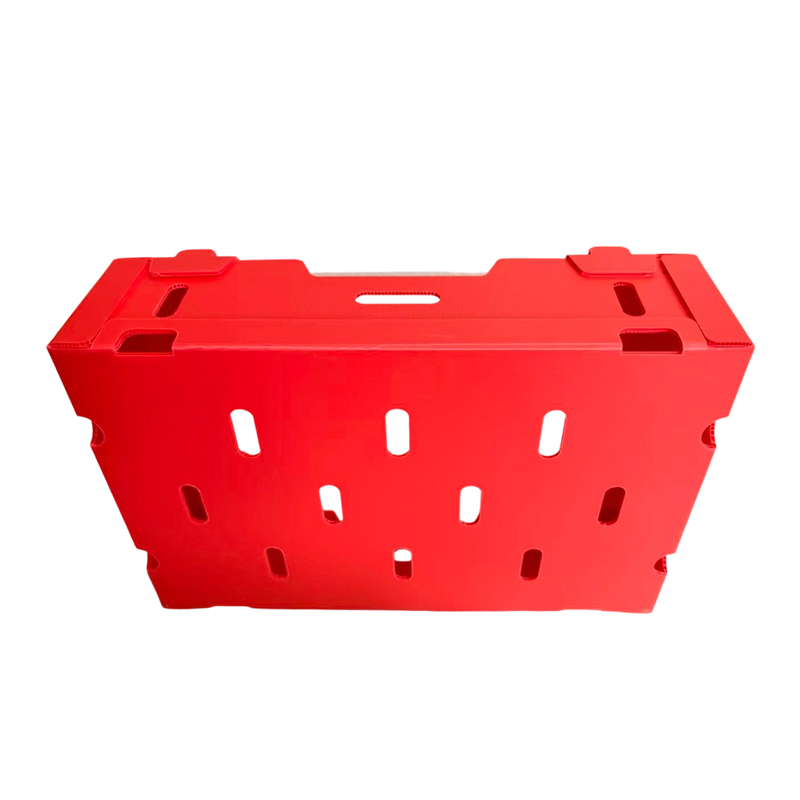 Boîte ondulée pliable imprimée en PP pour légumes et fruits