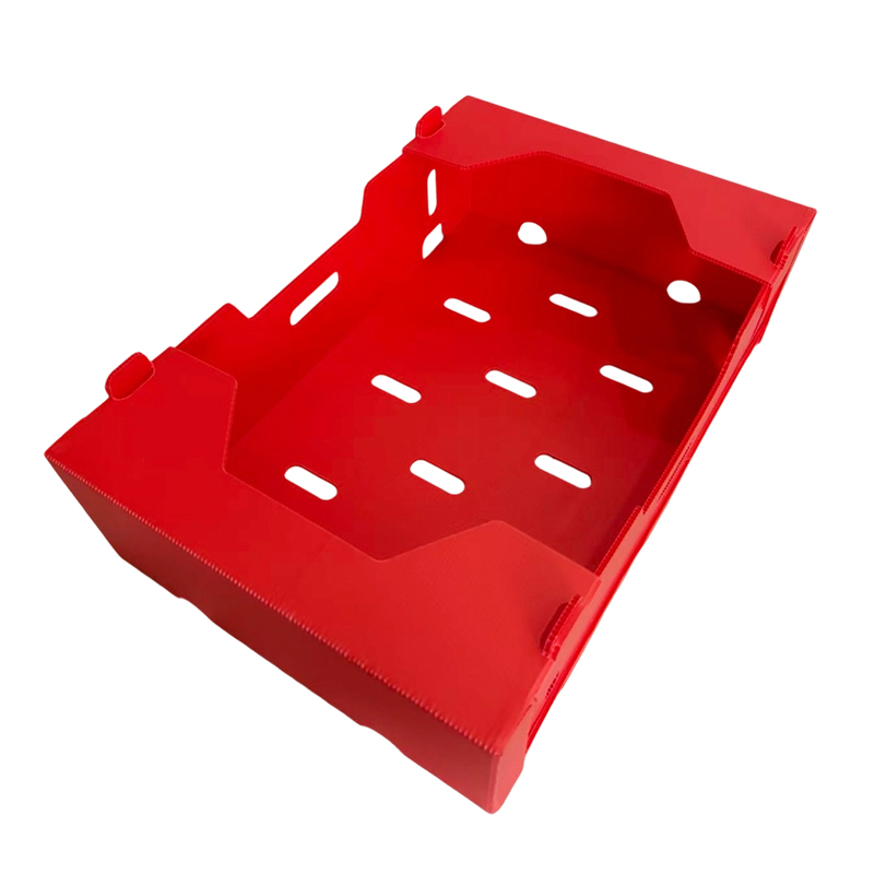 Boîte ondulée pliable imprimée en PP pour légumes et fruits