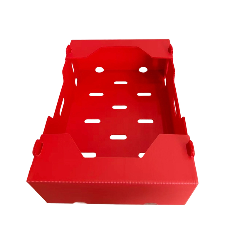 Boîte ondulée pliable imprimée en PP pour légumes et fruits