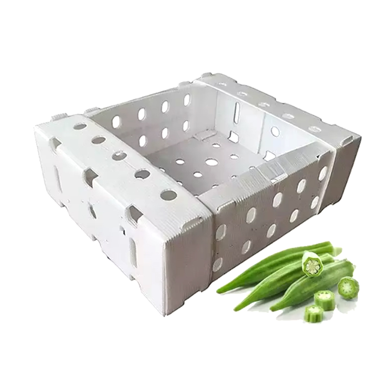 Boîte d'emballage de fruits en carton ondulé en plastique empilable à couvercle ouvert