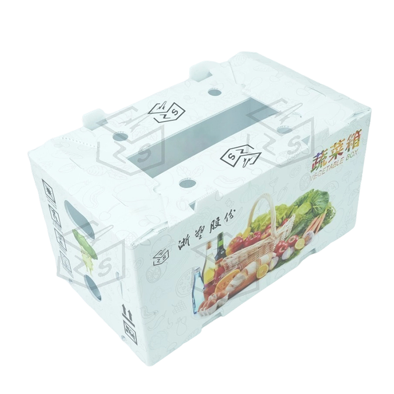 Boîte à fruits réutilisable et imperméable en PP Corflute