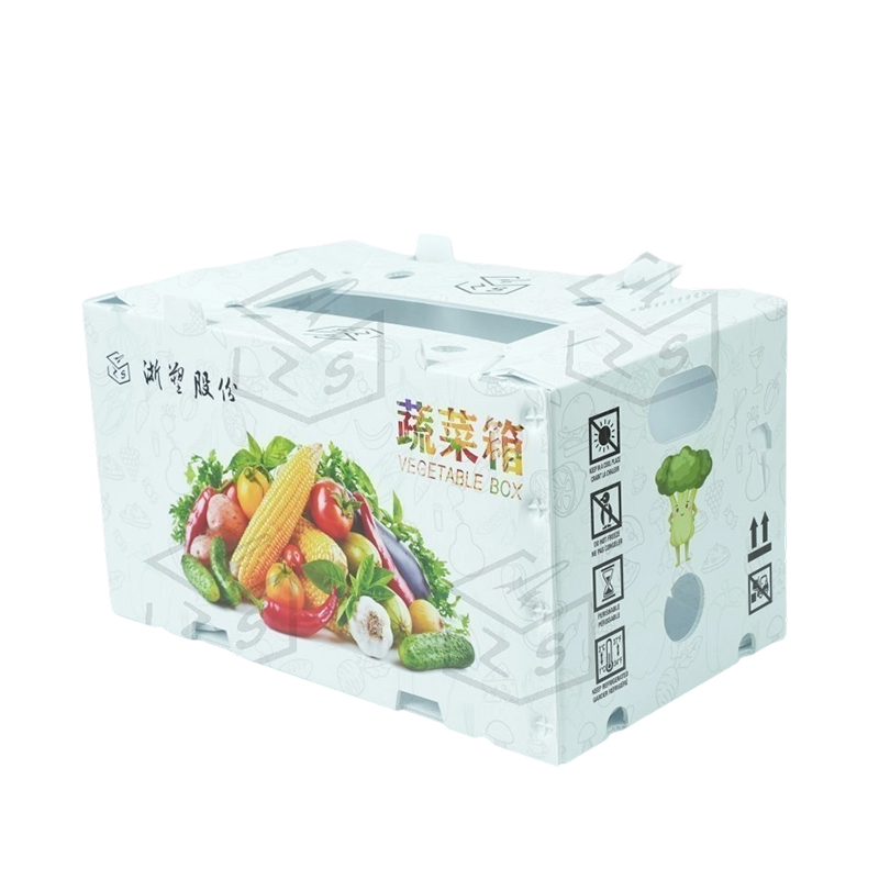Boîte à fruits réutilisable et imperméable en PP Corflute