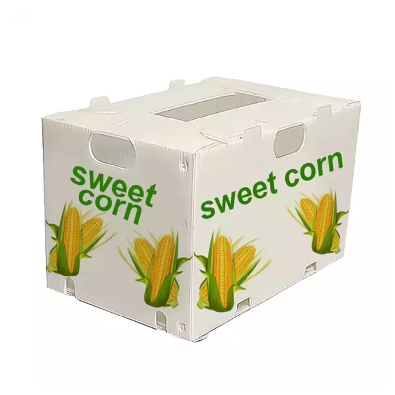 Boîte à fruits réutilisable et imperméable en PP Corflute