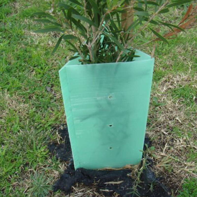 Protections d'arbres en plastique ondulé stabilisées aux UV