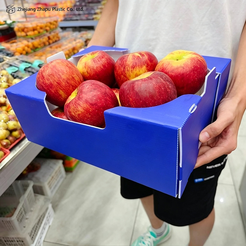 Boîte ondulée pliable imprimée en PP pour légumes et fruits