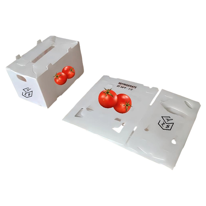 Boîte ventilée en plastique ondulé PP imprimée sur mesure pour fruits et légumes